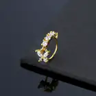 Ear Piercings_vantro